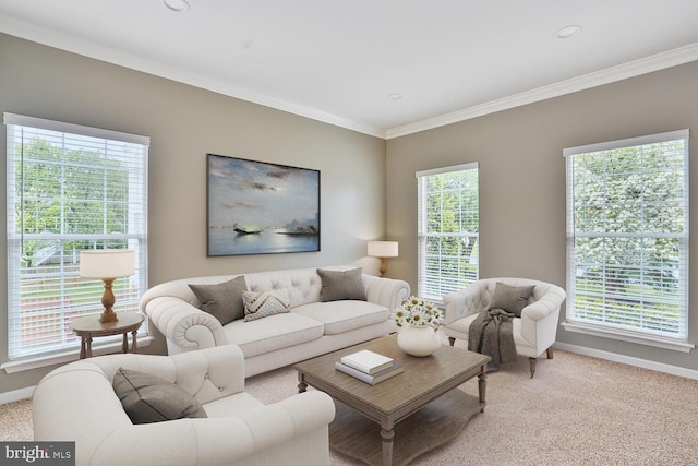 43413 Countrywalk Ct, Ashburn, VA 20147 - living area with carpet, baseboards, ornamental molding, and recessed lighting