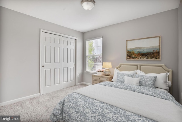 43413 Countrywalk Ct, Ashburn, VA 20147 - bedroom featuring baseboards, carpet, and a closet