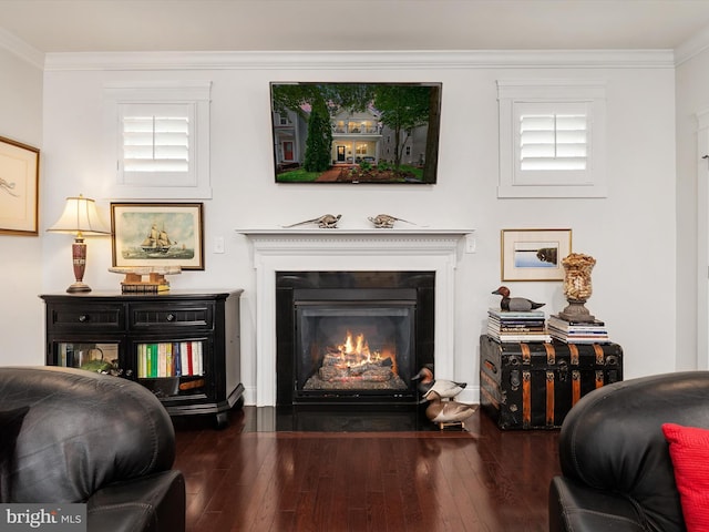 816 Bay Ridge Ave, Annapolis, MD 21403 - living room with a fireplace with flush hearth, crown molding, and wood finished floors