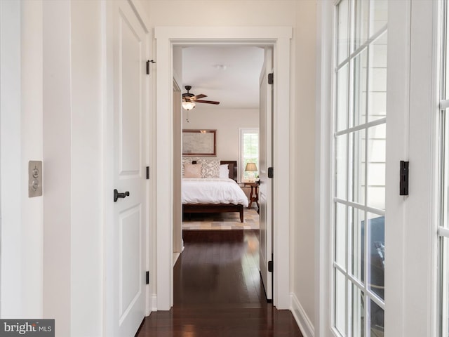 816 Bay Ridge Ave, Annapolis, MD 21403 - hall featuring dark wood-style floors and baseboards