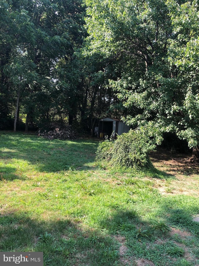 337 Carrsbrook Dr, Charlottesville, VA 22901 - view of grassy yard featuring a view of trees