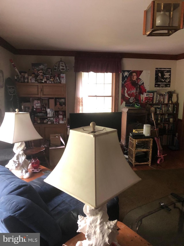 337 Carrsbrook Dr, Charlottesville, VA 22901 - living room with carpet floors