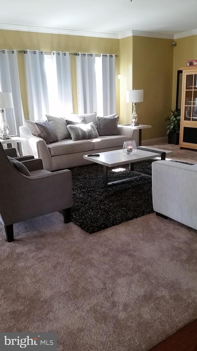 carpeted living area with crown molding