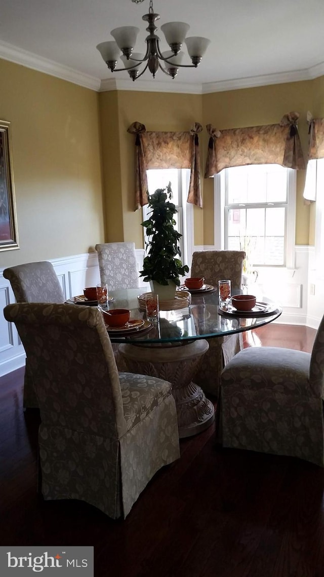 dining space featuring ornamental molding, wood finished floors, a chandelier, wainscoting, and a decorative wall