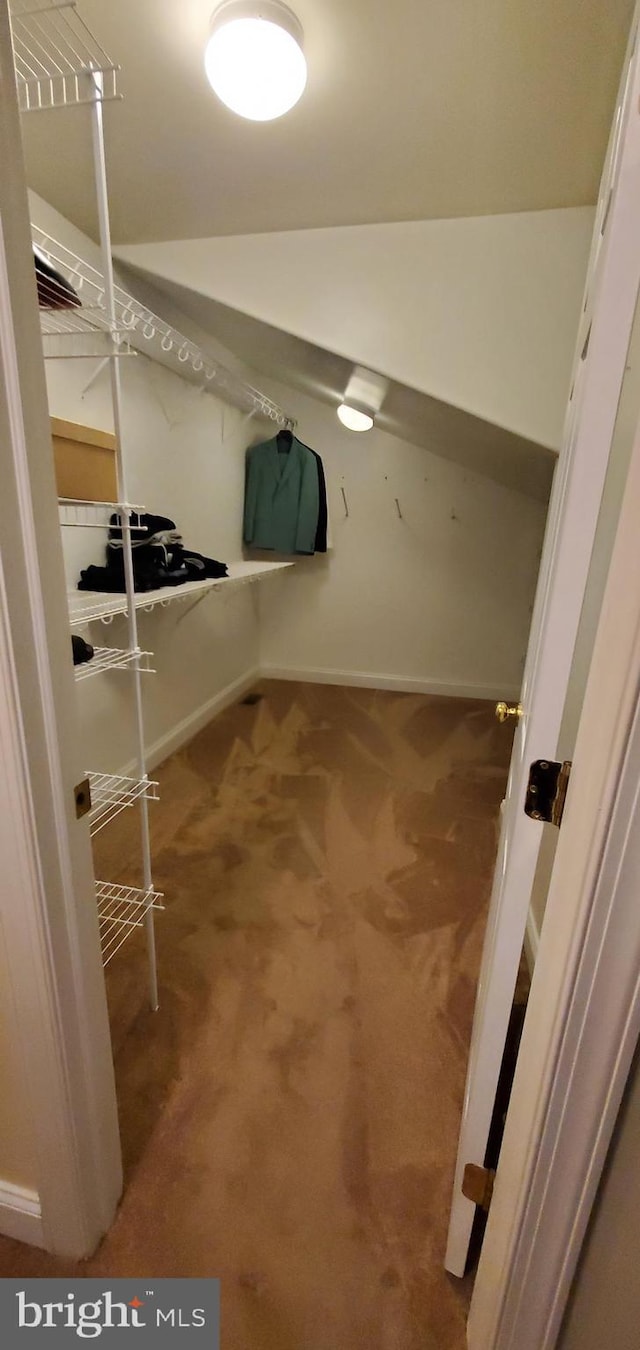 spacious closet with carpet flooring