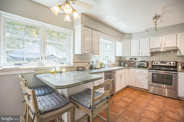 kitchen with appliances with stainless steel finishes, under cabinet range hood, a sink, and white cabinetry