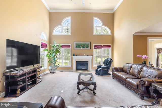 carpeted living area featuring healthy amount of natural light, ornamental molding, baseboards, a high ceiling, and a glass covered fireplace