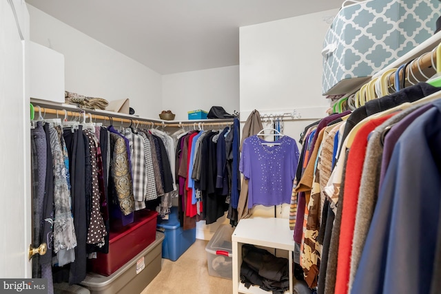 view of spacious closet