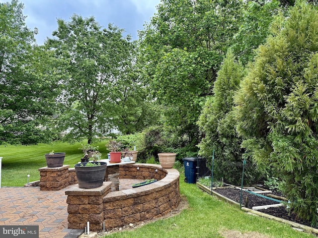 view of green lawn featuring a patio area