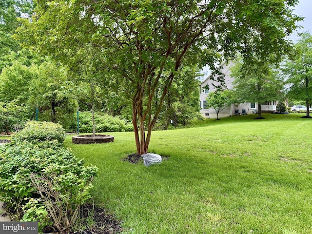 view of green lawn