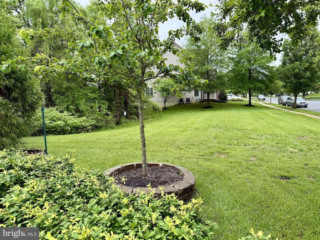 view of grassy yard