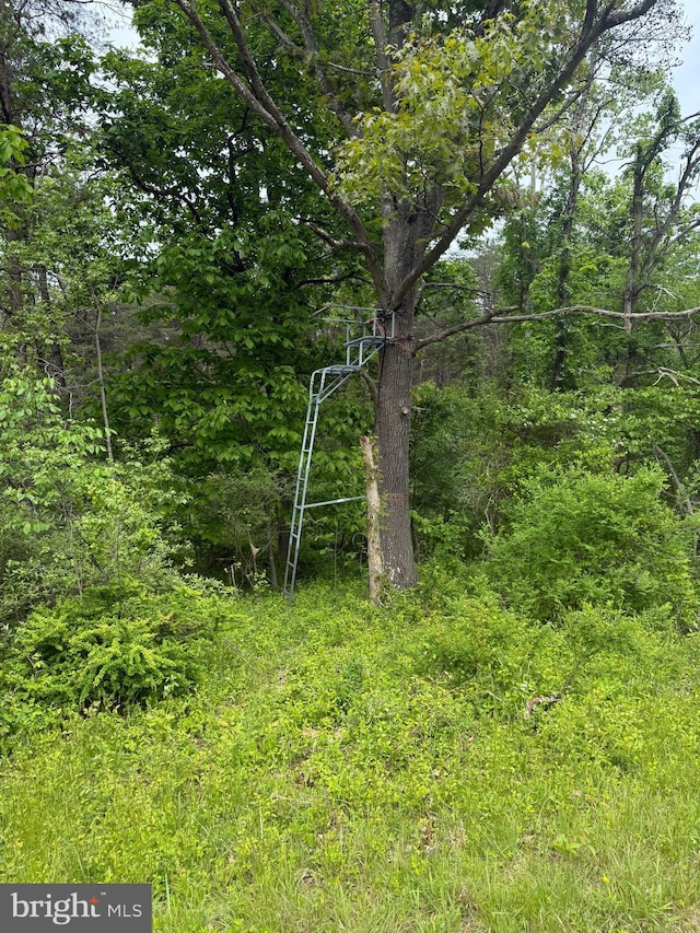 Abe Myers Rd, Hedgesville, WV 25427