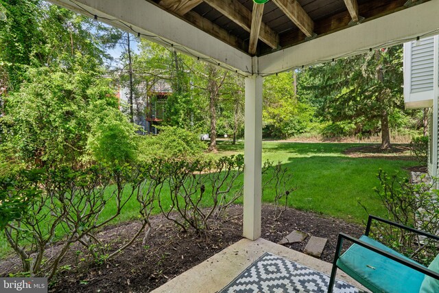 1476 Greenbriar Cir Unit 1-1476, Pikesville, MD 21208 - view of green lawn