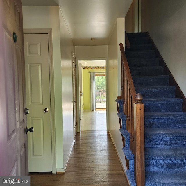 stairway featuring hardwood / wood-style floors and baseboards