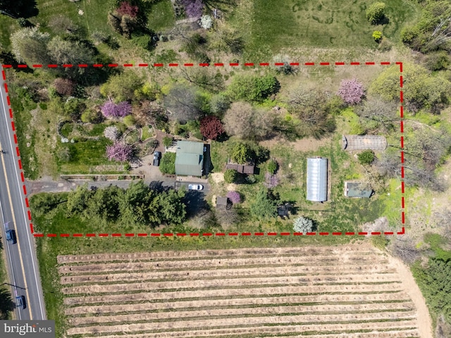 overview of rural landscape with property boundaries highlighted
