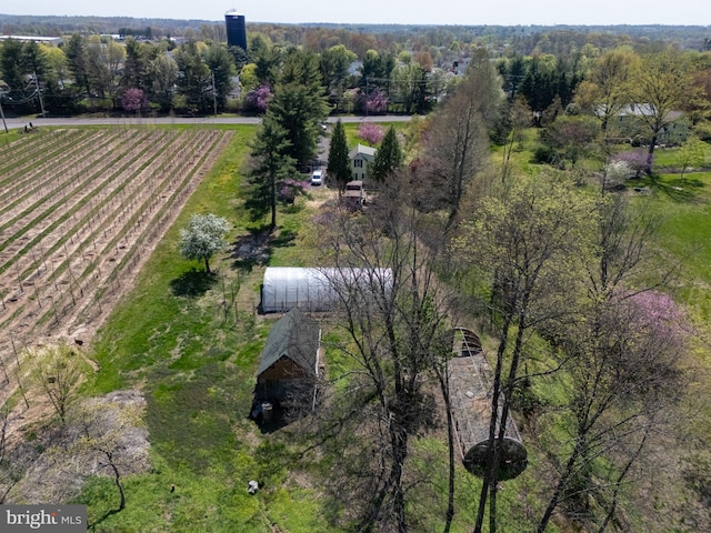 overview of rural landscape
