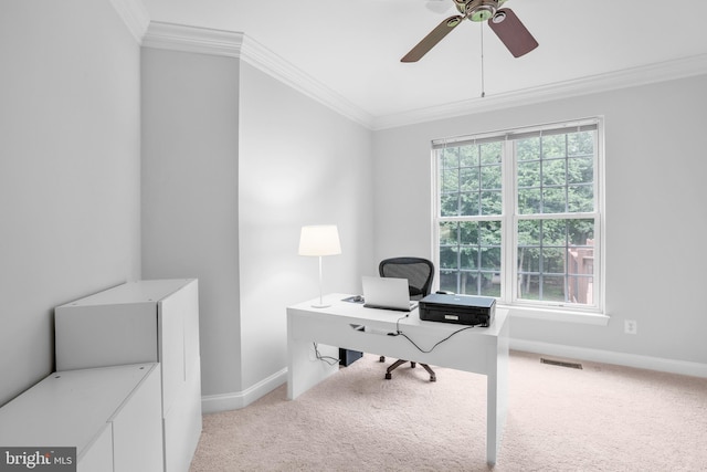 13626 Sylvan Bluff Dr, Leesburg, VA 20176 - office featuring ornamental molding, carpet, and a ceiling fan