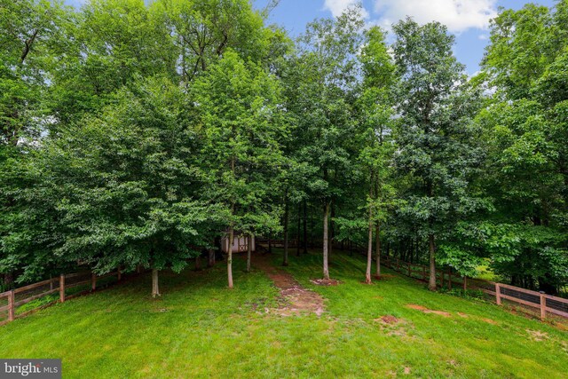 13626 Sylvan Bluff Dr, Leesburg, VA 20176 - view of yard
