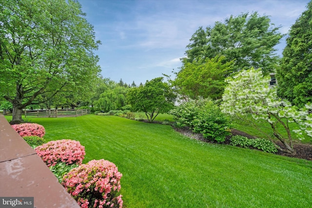 view of yard