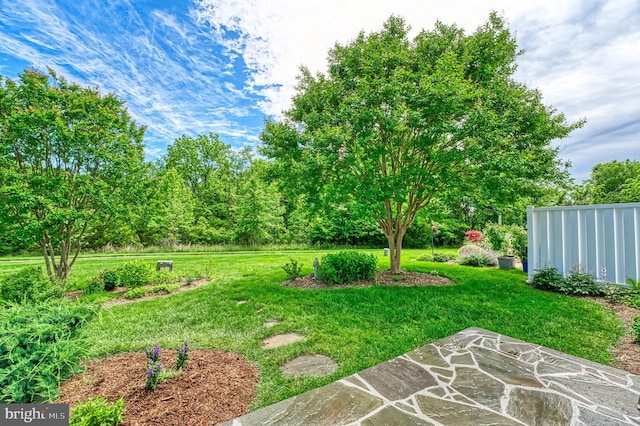 44458 Maltese Falcon Sq, Ashburn, VA 20147 - view of grassy yard