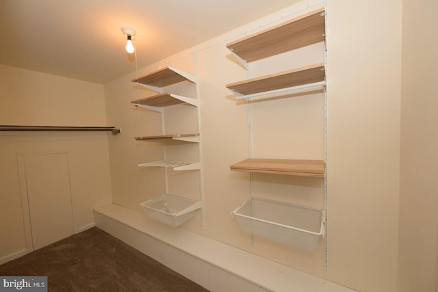 walk in closet with dark carpet