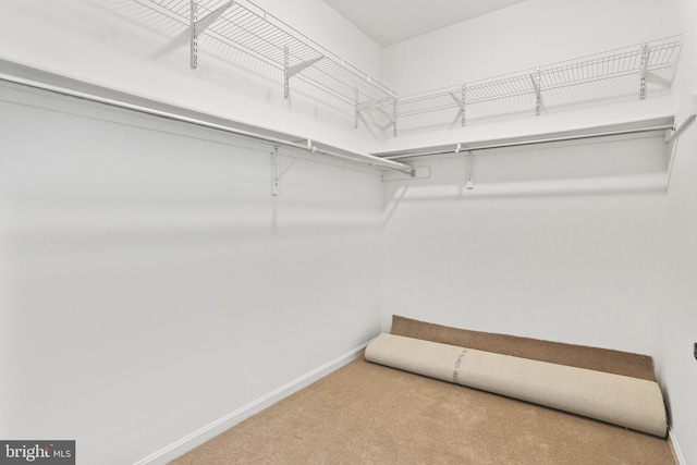 3547 Green Spring Rd, Havre De Grace, MD 21078 - spacious closet featuring carpet floors