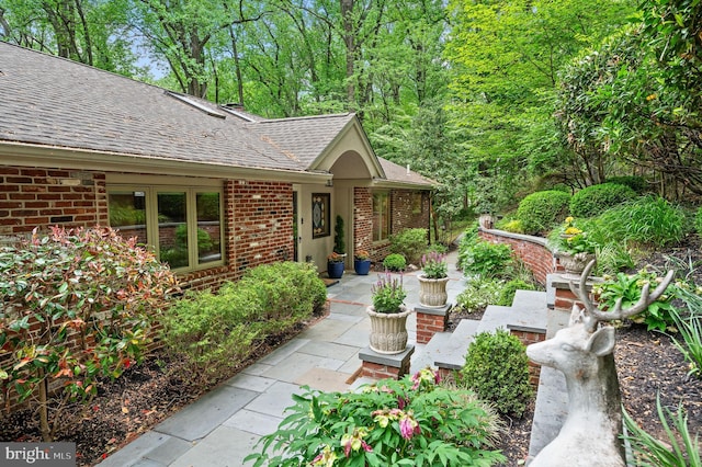 doorway to property featuring roof with shingles and brick siding