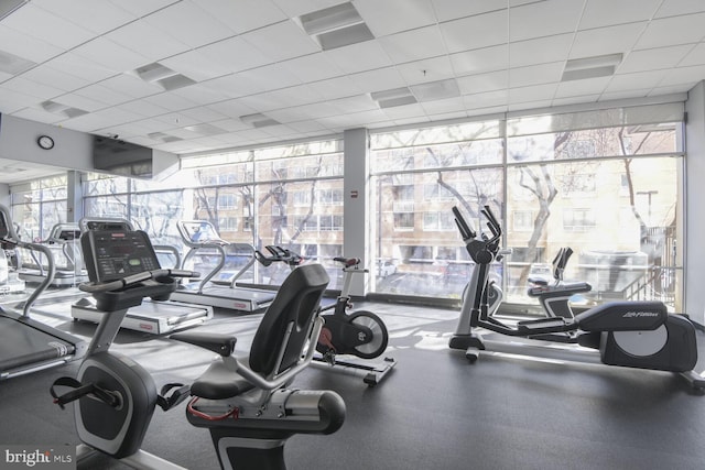 gym with a wall of windows, healthy amount of natural light, and a paneled ceiling