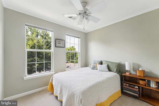 35934 Newberry Crossing Pl, Round Hill, VA 20141 - carpeted bedroom with baseboards, ornamental molding, and ceiling fan