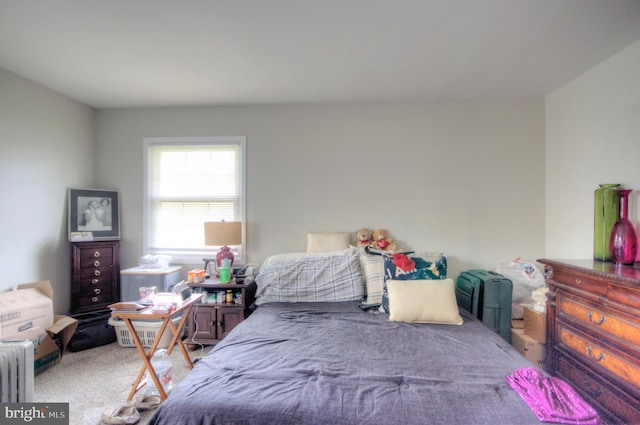 24 Edgewater Ln, Willingboro, NJ 08046 - carpeted bedroom featuring radiator heating unit