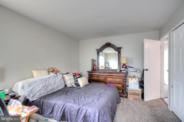 24 Edgewater Ln, Willingboro, NJ 08046 - view of carpeted bedroom