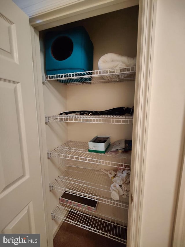 576 Kelker St, Oberlin, PA 17113 - view of closet