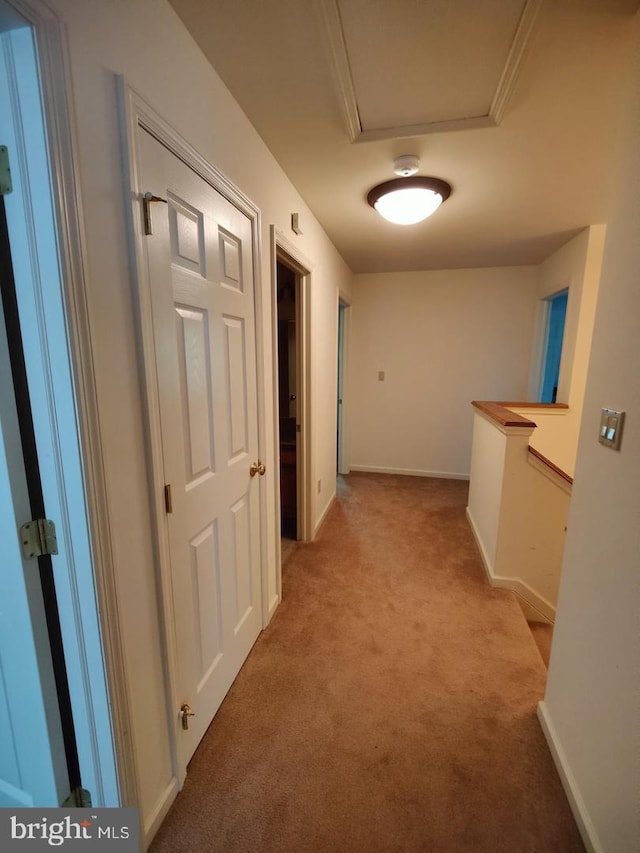 576 Kelker St, Oberlin, PA 17113 - corridor featuring light carpet and baseboards
