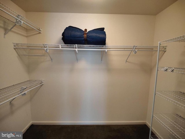 576 Kelker St, Oberlin, PA 17113 - view of walk in closet