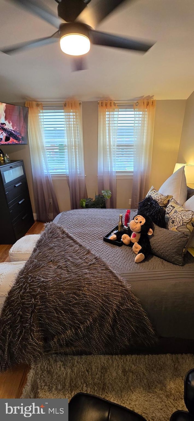 bedroom with multiple windows, wood finished floors, and a ceiling fan