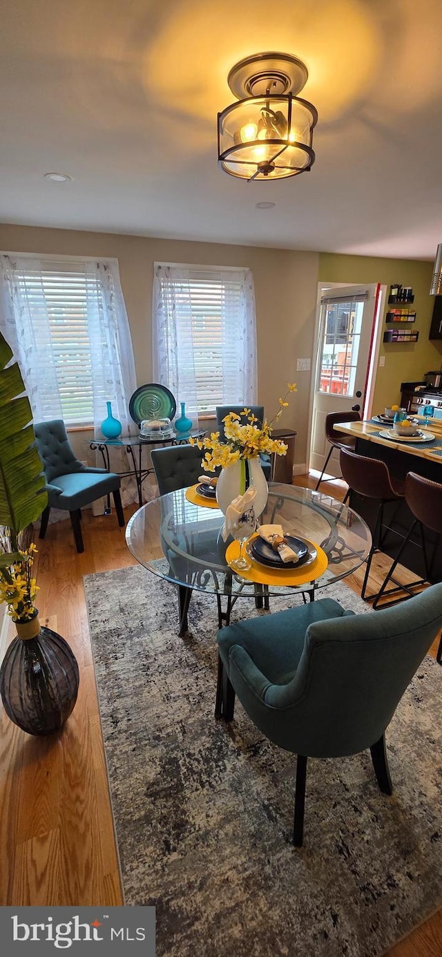dining room featuring wood finished floors, plenty of natural light, and baseboards