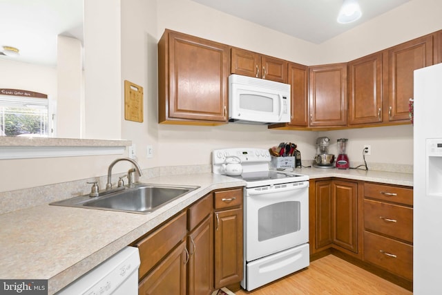 kitchen featuring white appliances, a sink, light countertops, brown cabinets, and light wood-style flooring