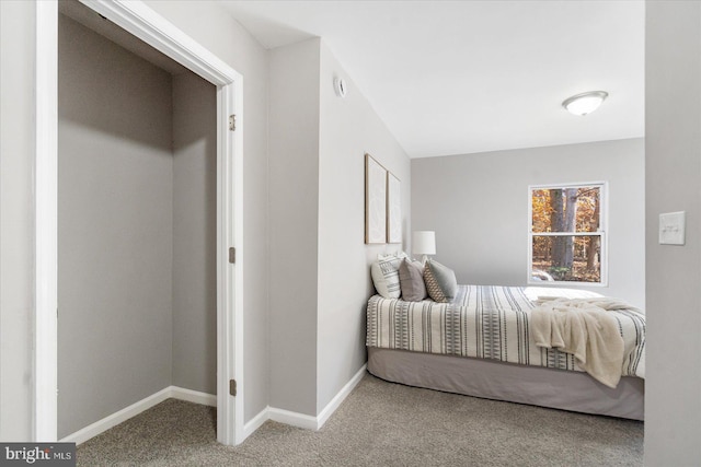 901 Chesterfield Rd, Annapolis, MD 21401 - bedroom featuring carpet and baseboards