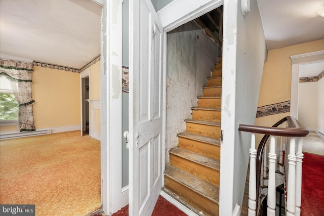 stairway featuring carpet