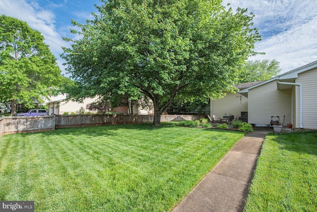view of yard