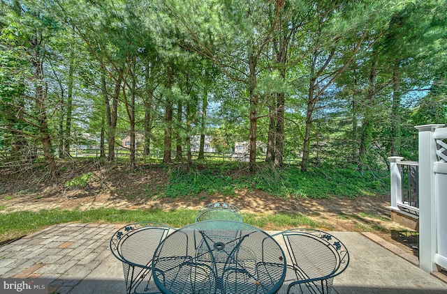 view of yard with a patio area and outdoor dining space