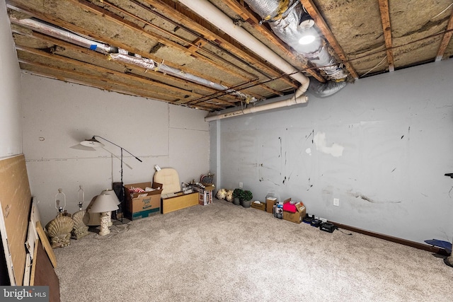 unfinished below grade area with carpet floors