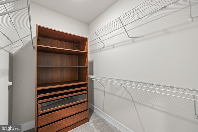 1334 S Quinn St, Arlington, VA 22204 - walk in closet with carpet flooring