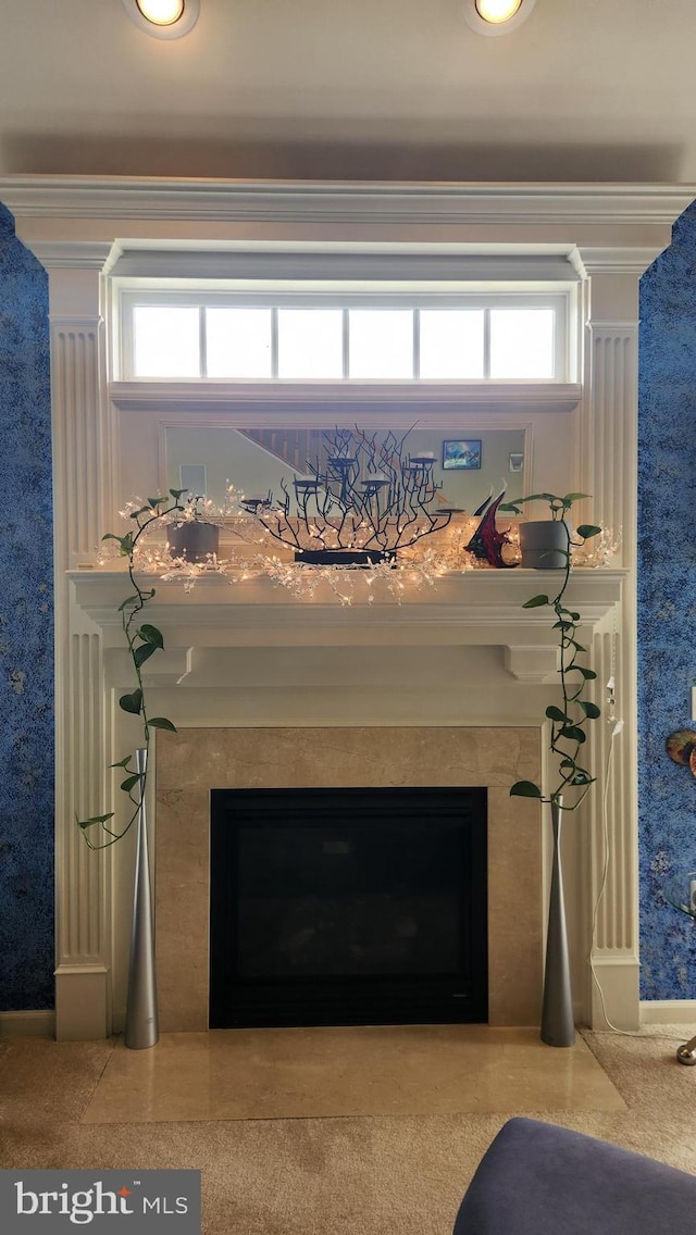 109 Galyn Dr, Brunswick, MD 21758 - detailed view of a high end fireplace