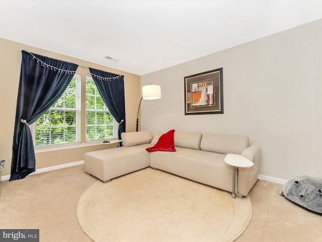 109 Galyn Dr, Brunswick, MD 21758 - living area with carpet and baseboards