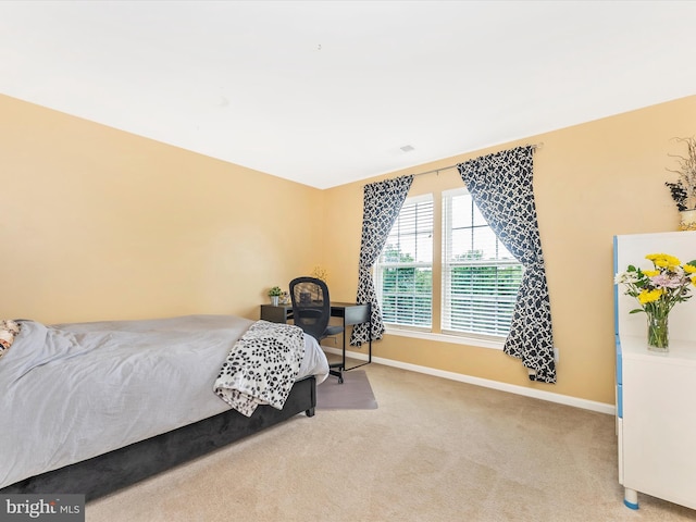 109 Galyn Dr, Brunswick, MD 21758 - bedroom featuring baseboards and carpet