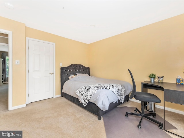 109 Galyn Dr, Brunswick, MD 21758 - bedroom featuring carpet floors and baseboards
