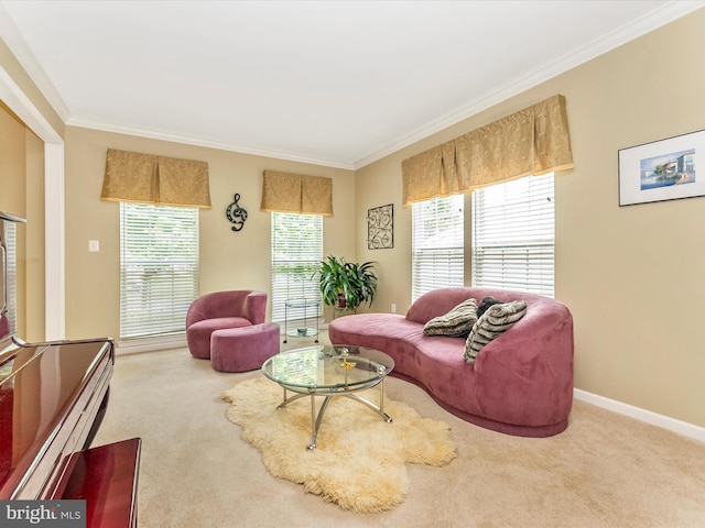 109 Galyn Dr, Brunswick, MD 21758 - living area featuring ornamental molding, carpet, and baseboards