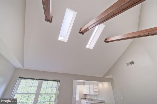 2101 N Taft St Unit 123, Arlington, VA 22201 - detailed view of a skylight and a sink