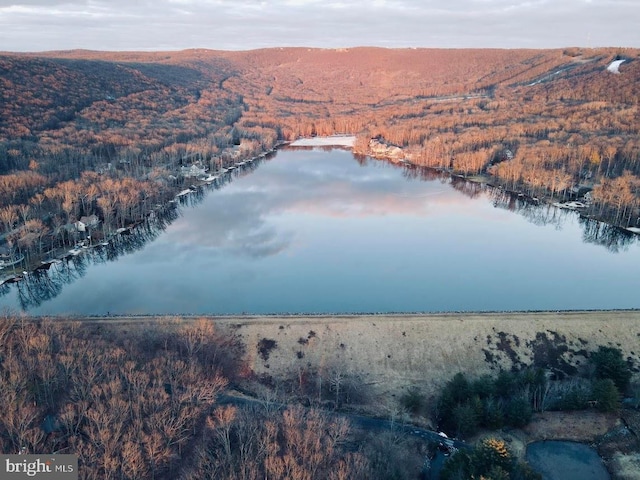 aerial view of a heavily wooded area and a water and mountain view